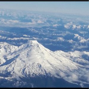 Meet your Posher, Rosa